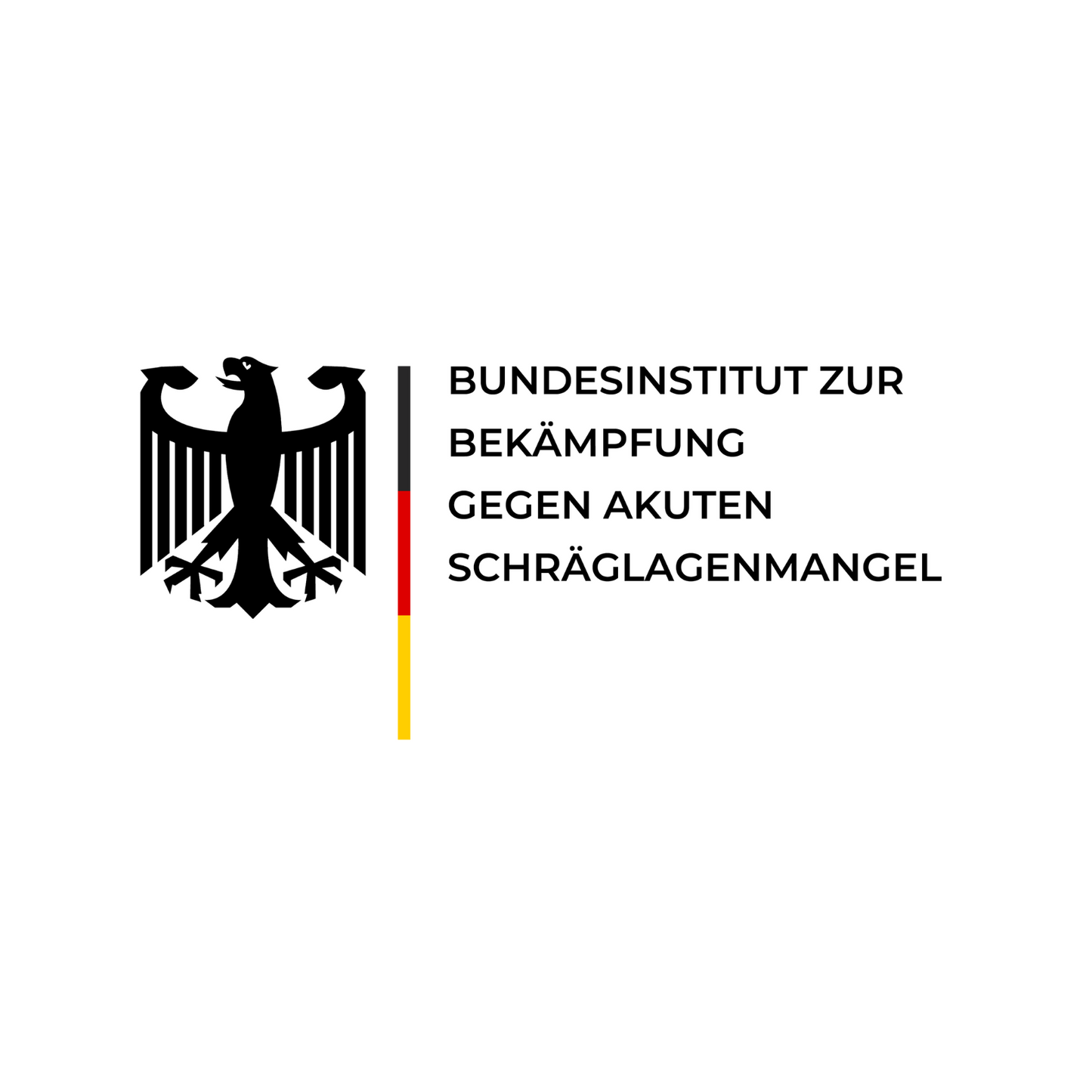 Bundesinstitut zur Bekämpfung von akutem Schräglagenmangel - Premium Hoodie