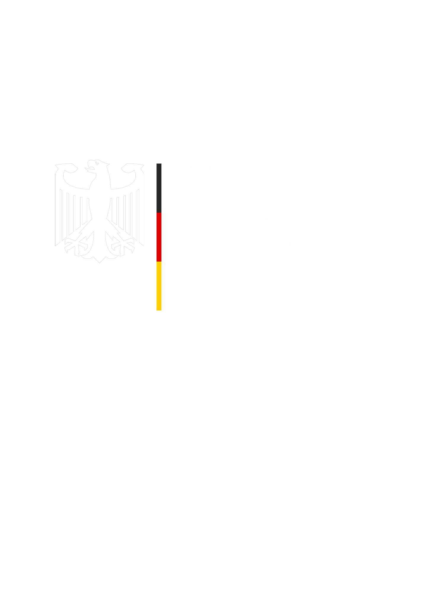 Bundesinstitut zur Bekämpfung von akutem Schräglagenmangel - Oversized Shirt